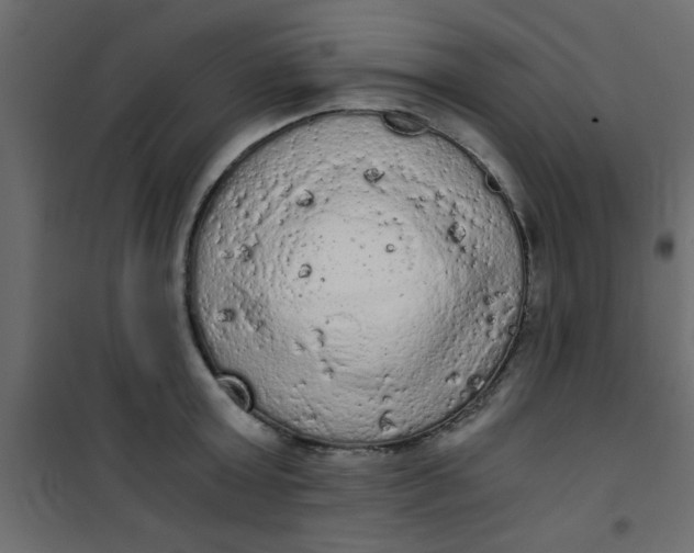 X0000101120803200807171959