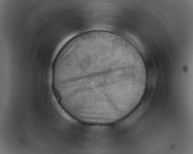 X0000101120804200807171958