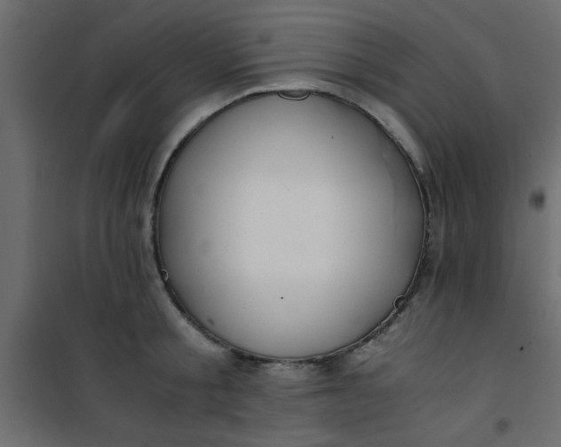 X0000101120805200807171958