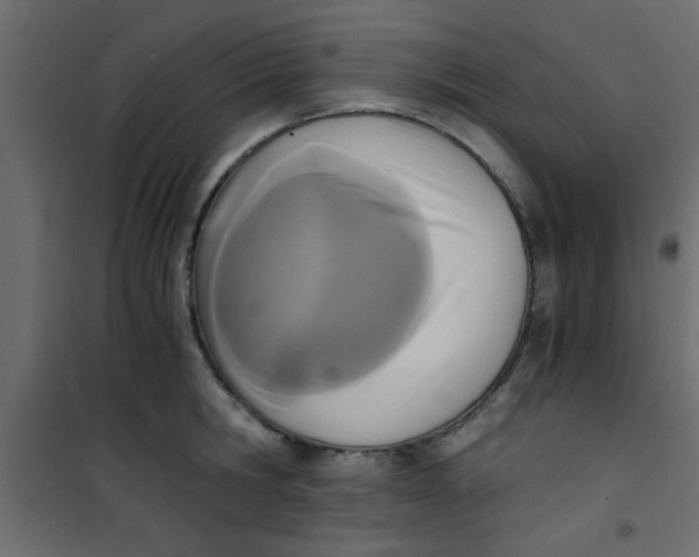 X0000101120806200807171958
