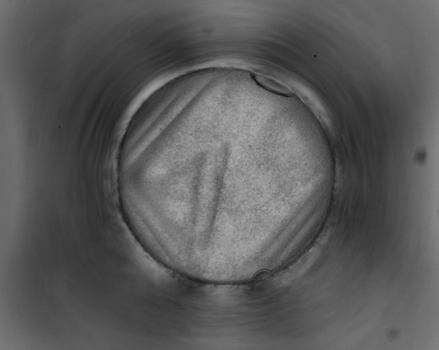 X0000101120808200807171958
