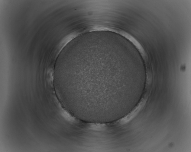 X0000101120809200807171958