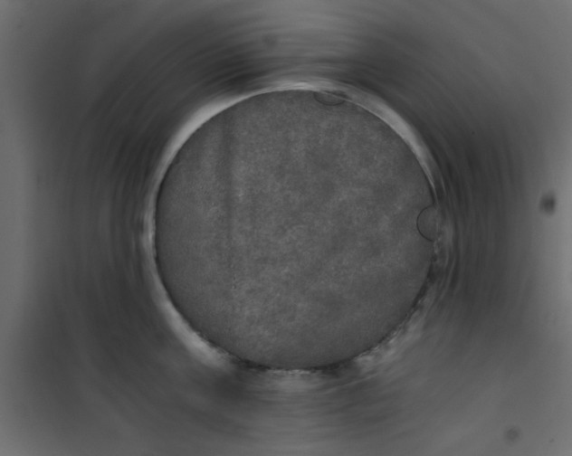 X0000101120811200807171958