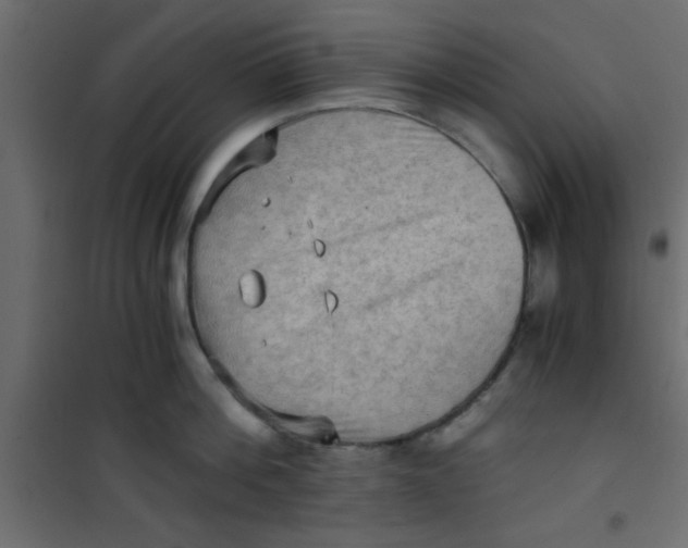 X0000101120812200807171958