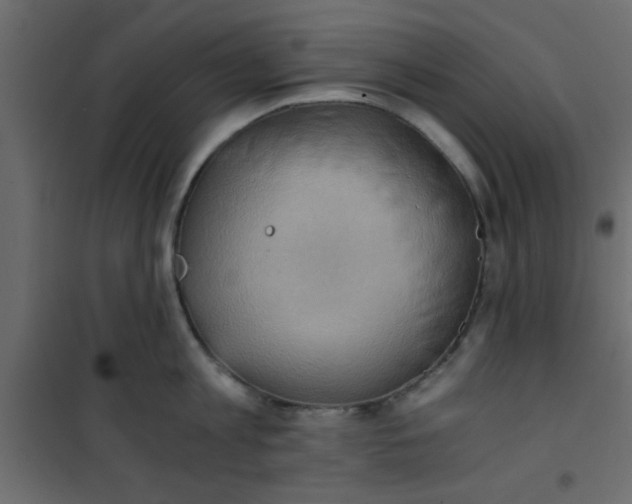 X0000101120813200807171958