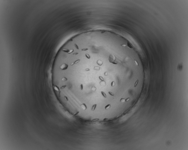 X0000101120814200807171958