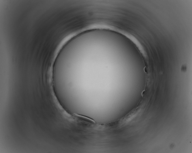 X0000101120815200807171958