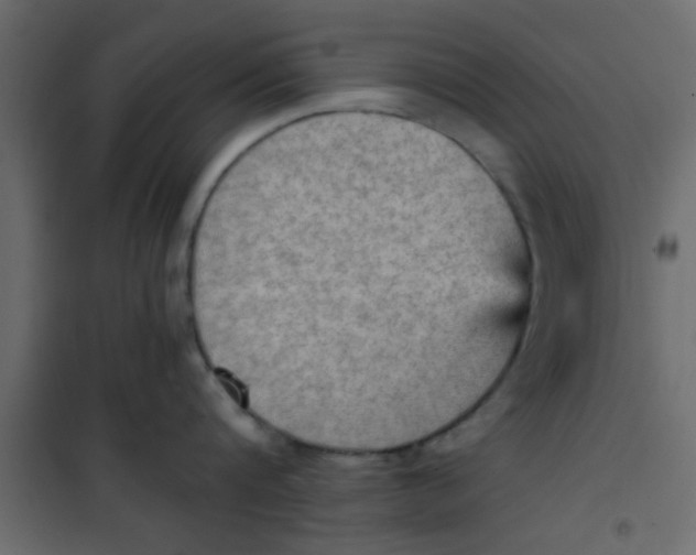 X0000101120816200807171958