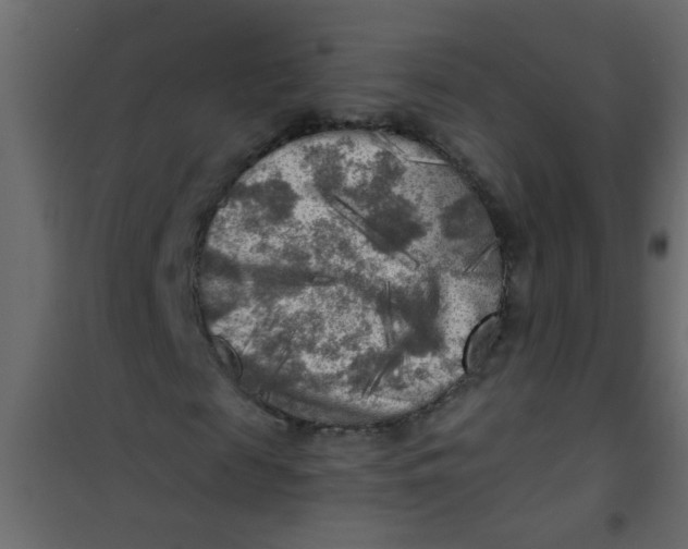 X0000101120817200807171957