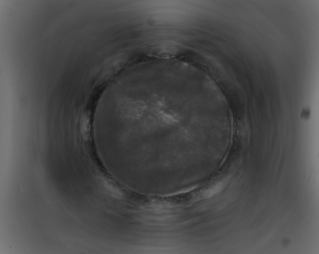 X0000101120818200807171957