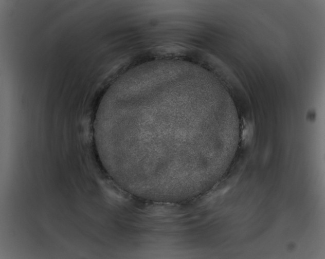 X0000101120819200807171958