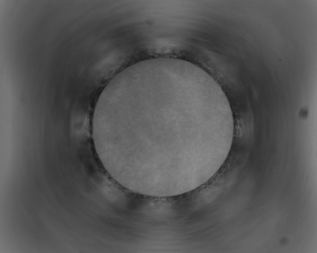 X0000101120820200807171958