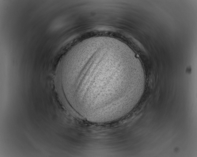 X0000101120821200807171958