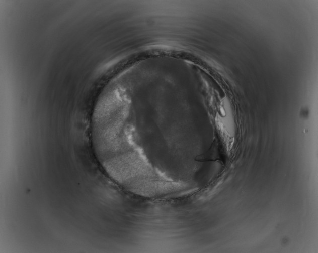 X0000101120822200807171958