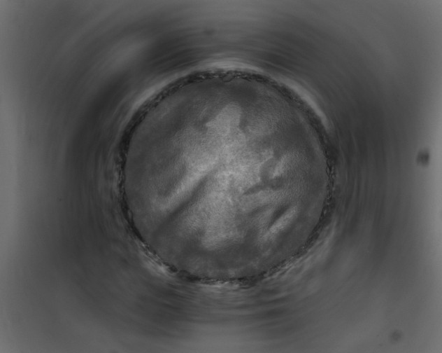 X0000101120823200807171958