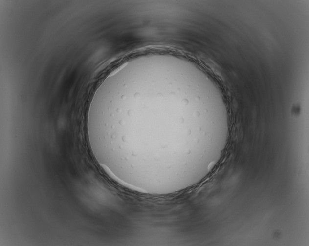 X0000101120824200807171958