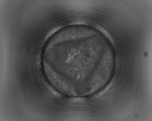 X0000101120826200807171958