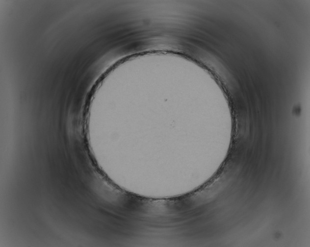 X0000101120828200807171958
