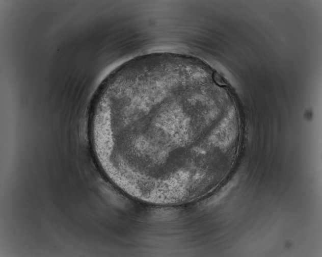 X0000101120830200807171958