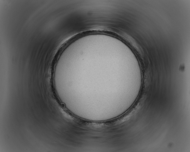 X0000101120831200807171958