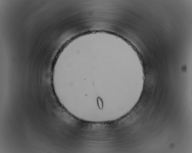 X0000101120832200807171958