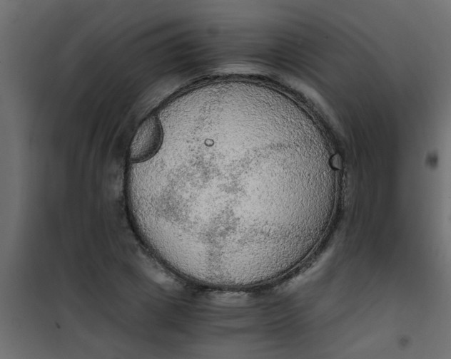 X0000101120833200807171958