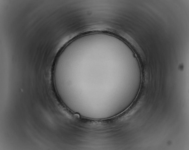 X0000101120834200807171958