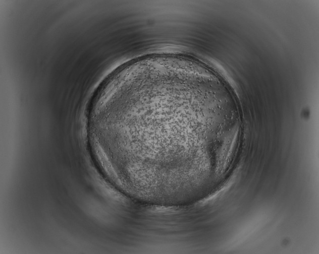X0000101120835200807171958