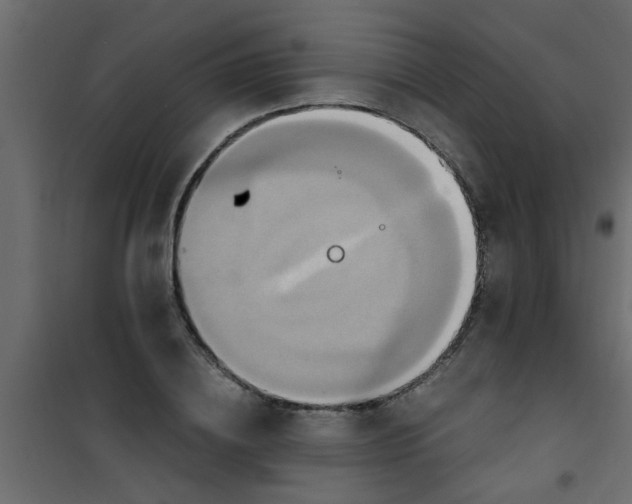 X0000101120836200807171958