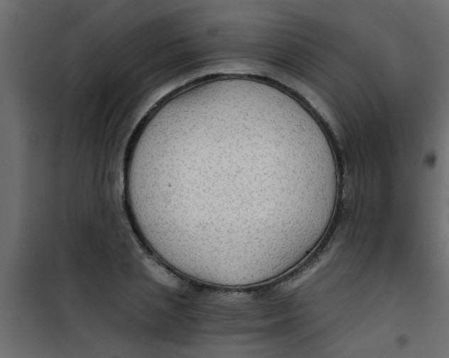 X0000101120837200807171958