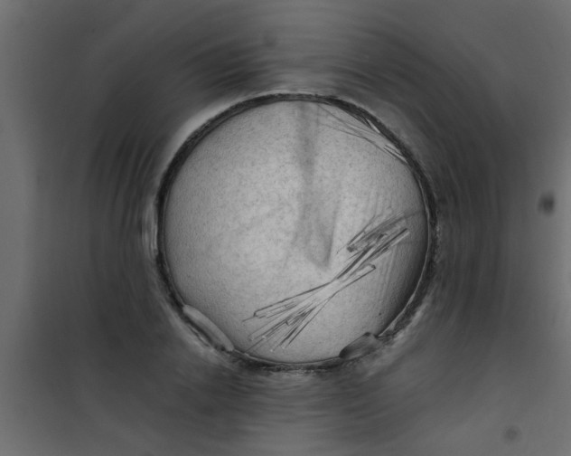 X0000101120838200807171958