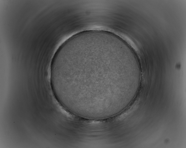 X0000101120839200807171958