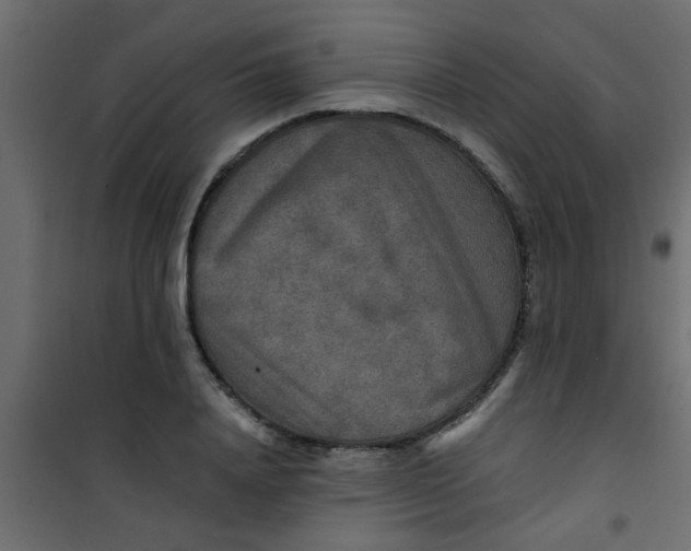 X0000101120840200807171958
