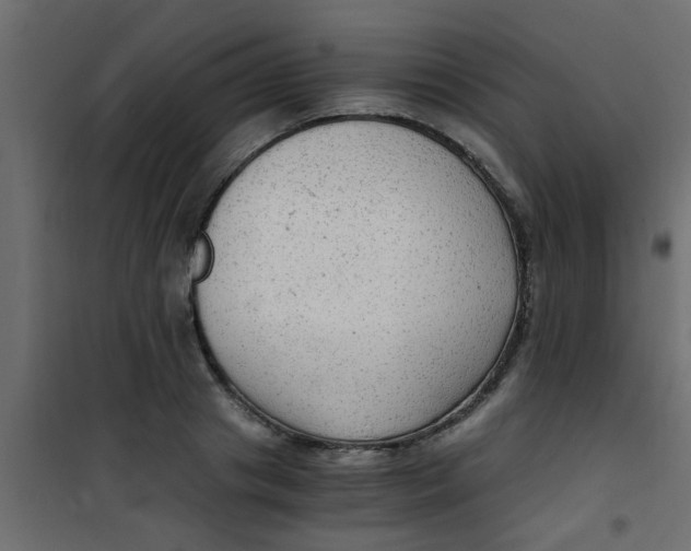 X0000101120841200807171958