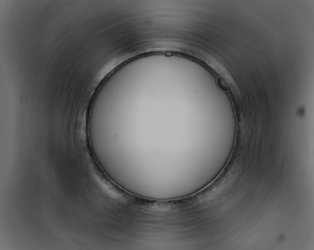 X0000101120842200807171958