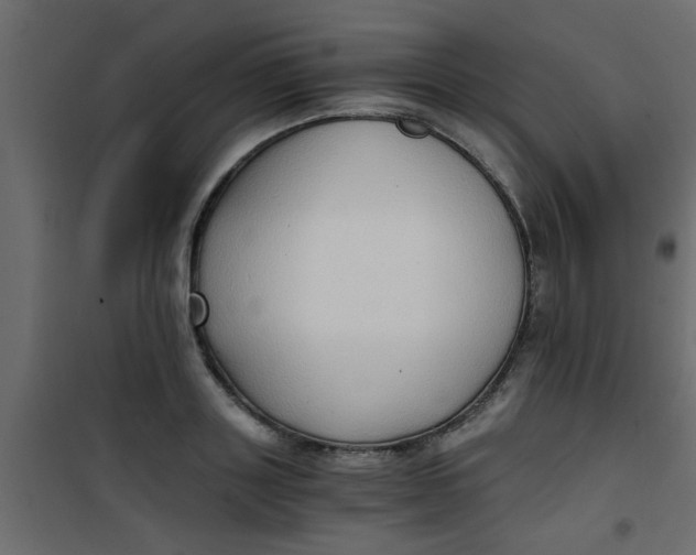 X0000101120843200807171958