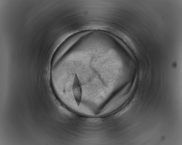 X0000101120844200807171958