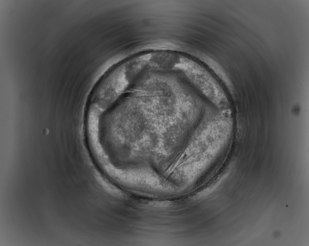X0000101120845200807171958