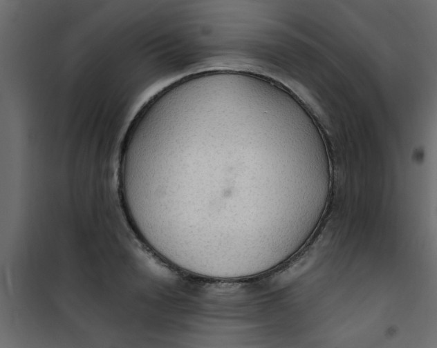 X0000101120846200807171958