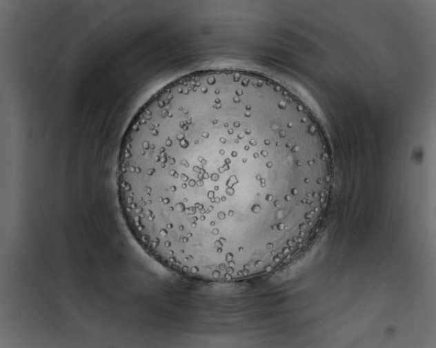 X0000101120847200807171958