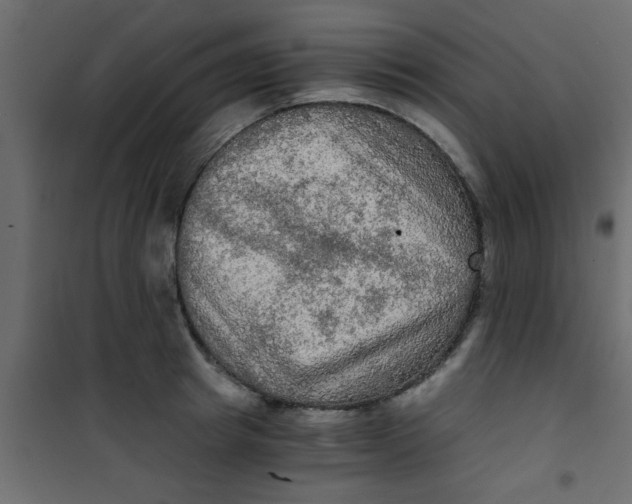 X0000101120849200807171958