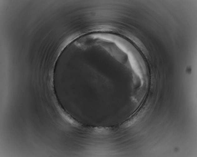 X0000101120850200807171958