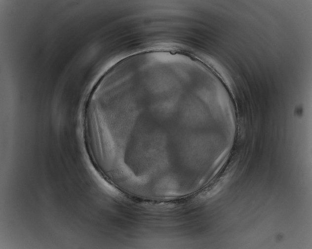 X0000101120851200807171958
