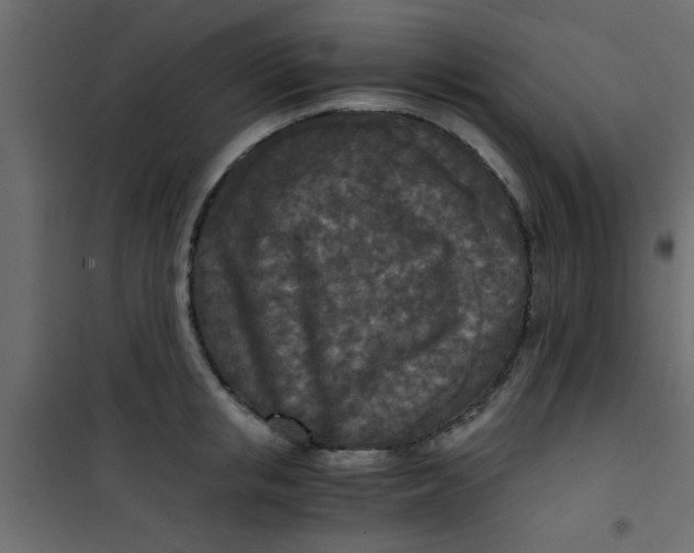X0000101120853200807171958