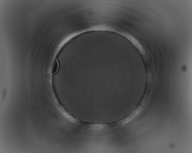 X0000101120854200807171958