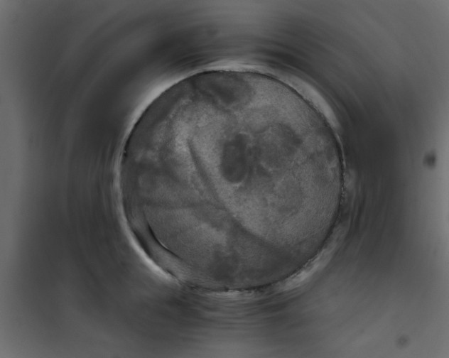 X0000101120855200807171958