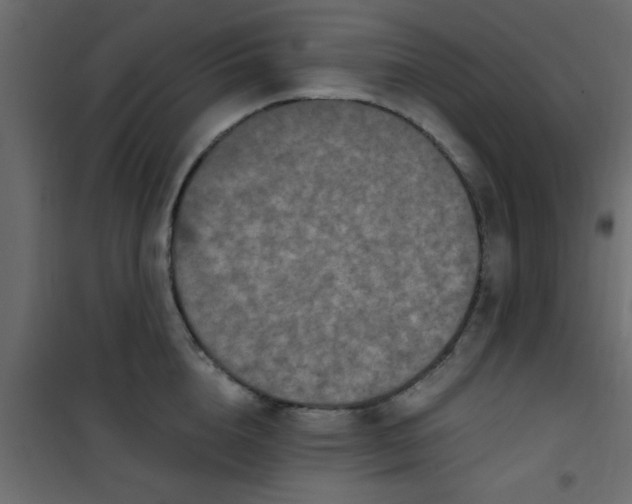 X0000101120856200807171958