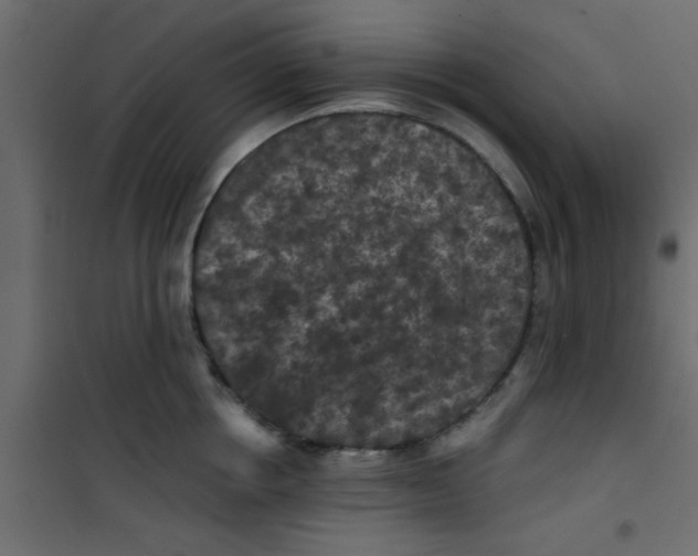 X0000101120858200807171958