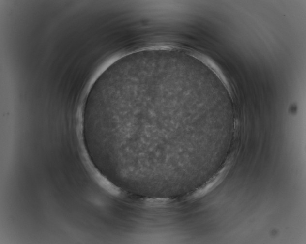 X0000101120859200807171958