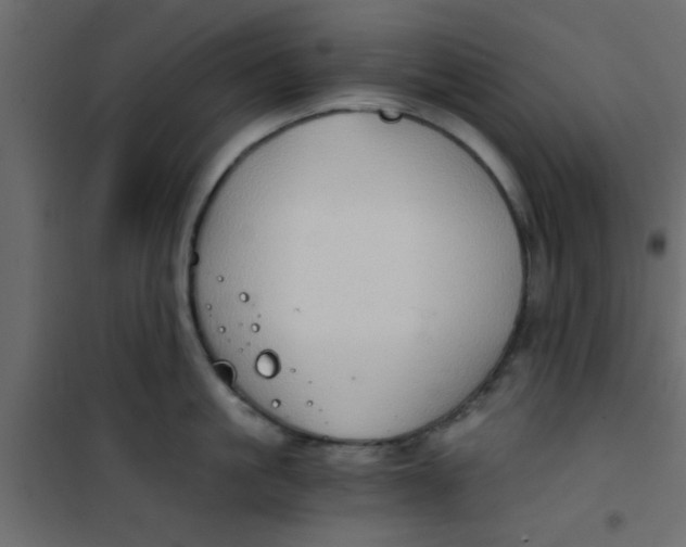 X0000101120861200807171958